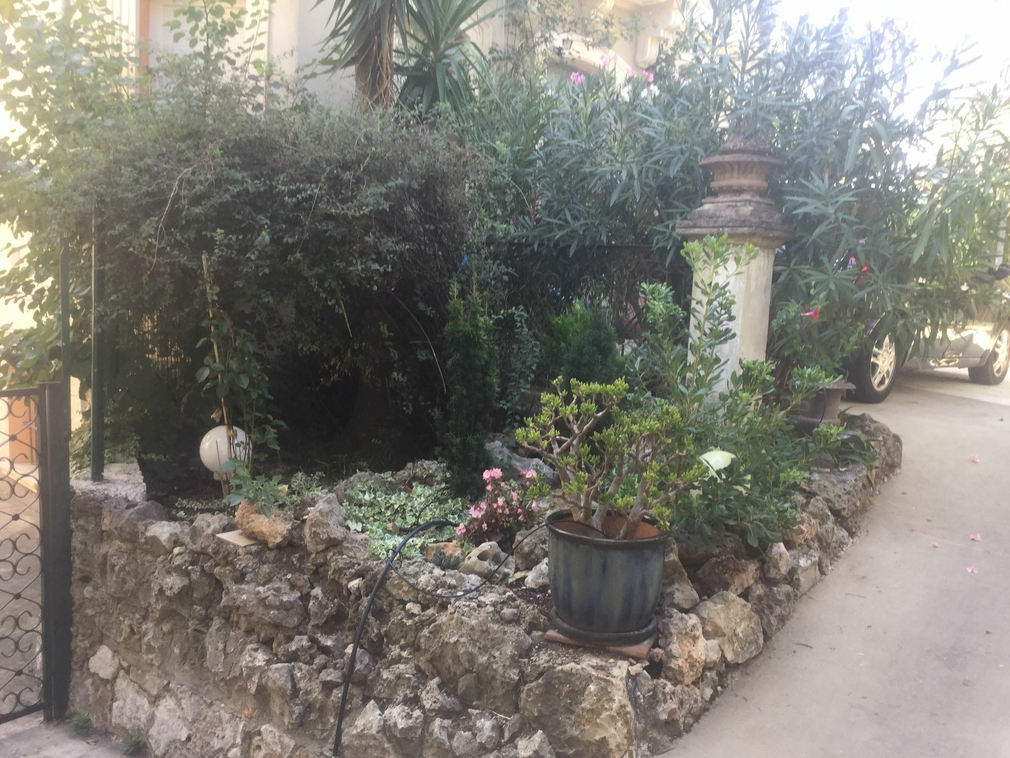 A L'Ombre Du Cedre Hotel Hyères Exterior foto